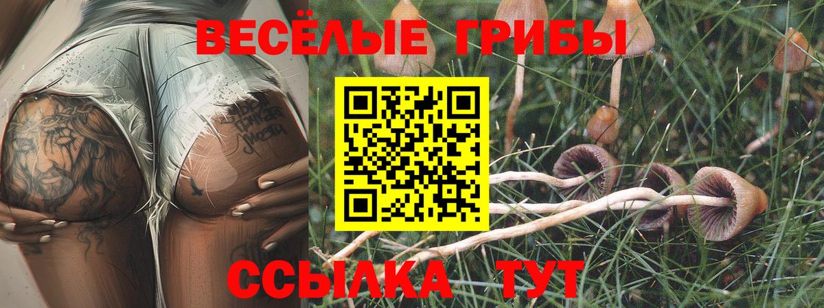 Псилоцибиновые грибы GOLDEN TEACHER Железногорск